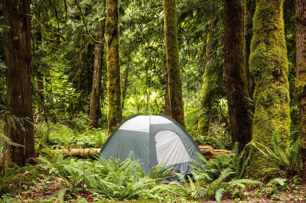 Mount Hood Village Deluxe Cabin 7 Welches Buitenkant foto
